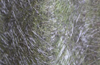 Babraham fibreglass roof work