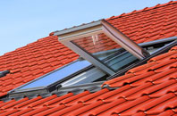 Babraham roof window